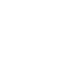 Chat & Voice Bots