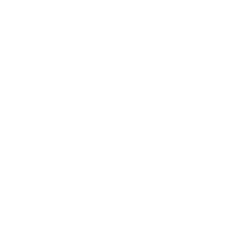 LLMOps for Model Lifecycle