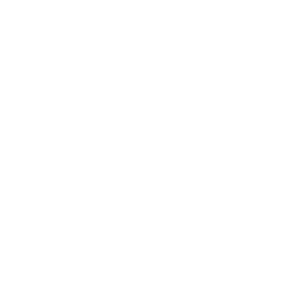 Predictive Analytics for Decisions